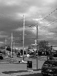 Dogtown, St. Louis, MO